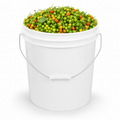 African kittley (1 bucket)